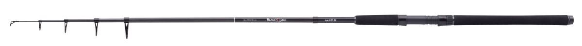 BALZER Black Jack Allround 45 2,1м 10-40г
