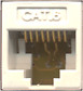 Cat6 Coupler Keystone White