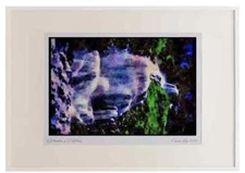 Waterfalls 027020 Cascading Stream And Wildflowers A3 Picture Frame Watercolour