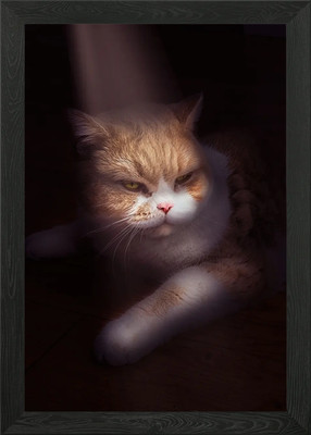 Ginger Cat Gerahmtes Wandbild Poster Leinwanddruck Bild