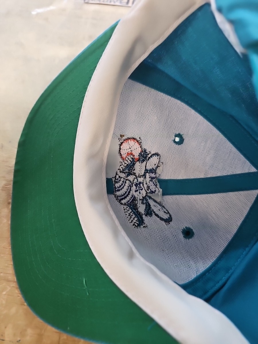 Vintage NBA Charlotte Hornets Snapback Hat Twins Enterprise Twill