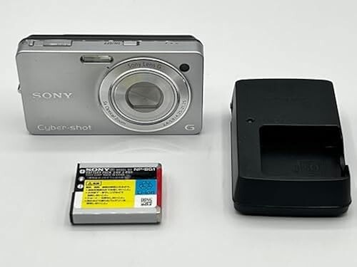 Sony Digital Camera DSC-WX1 Cyber Shot Silver 5.0x 10.2MP Compact