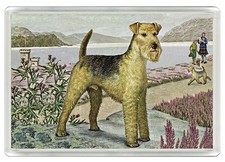 LAKELAND TERRIER DOG FRIDGE MAGNET GREAT GIFT