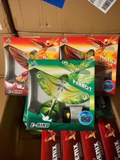 E-Bird Electric RC Flying Wing 2.4GHz Remote ...