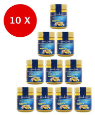 10 x 500g Küstengold Akazien-Honig mit Frühjahrstracht (5000g)