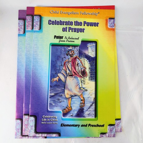Adventures in Odyssey VBS Kit 99% Complete Great Global Adventure Vacation Bible - Picture 6 of 12