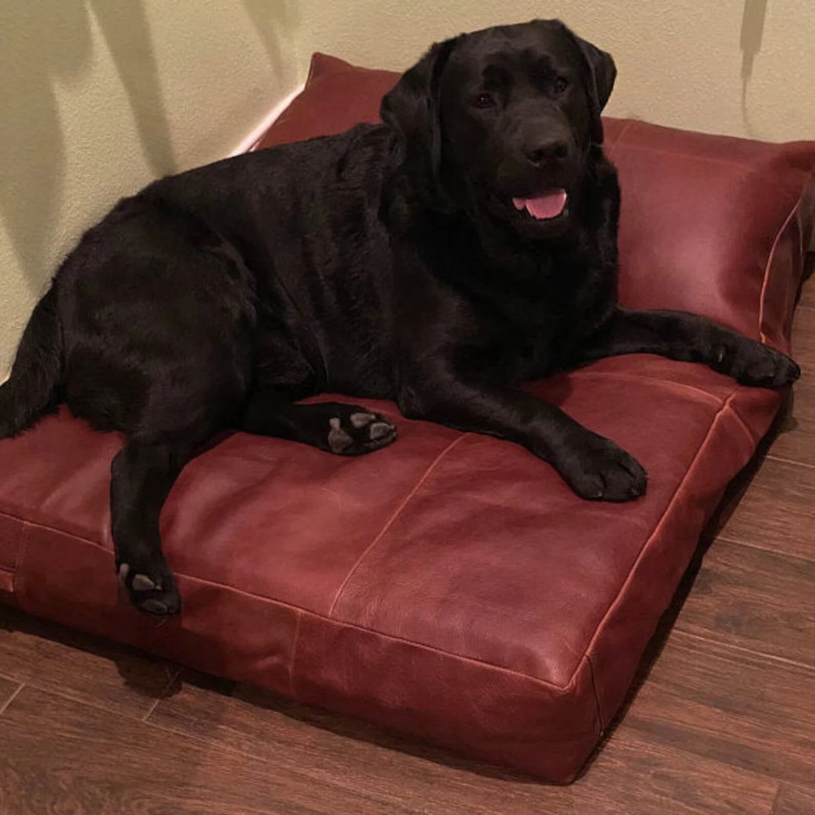New Genuine Pet Leather bed cover. Handmade customized bed cover for Dogs/Cats.