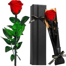 Roses Gifts for Women - Eternal Rose Preserved Flowers with Stem - Real Rose Fr