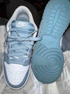 Nike Dunk Blue Palsy