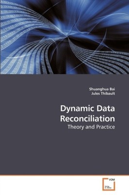 Bai Shuanghua - Dynamic Data Reconciliation - New paperback or softbac - X555z