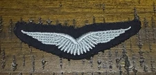 West German Bundeswehr Aircraft Pilot Activity Wings Patch Insignia Air Force
