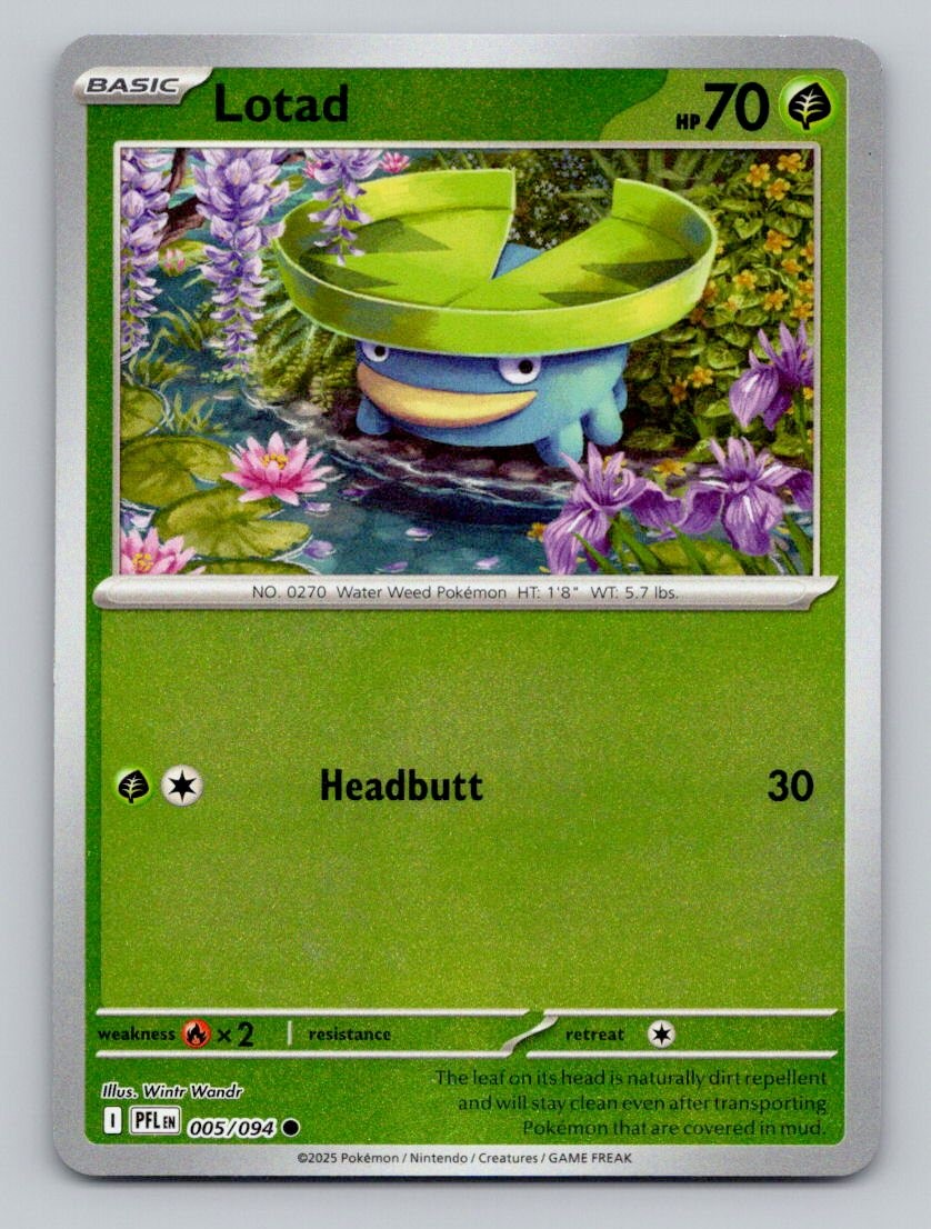 Reverse Holo Lotad 005/094 Common Phantasmal Flames Pokemon