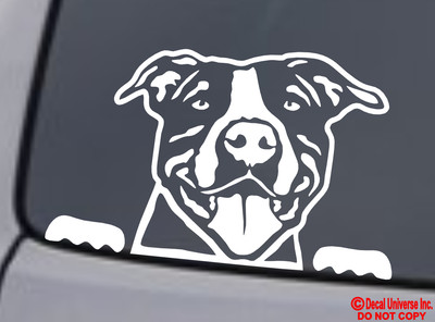 pitbull car decal