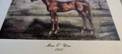 Vintage 1977 Man O War Famous Horse Racing Legend Print, por Goodin - Imagem 2 de 4