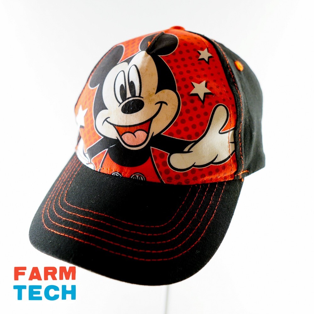 Mickey Mouse DISNEY TRUCKER Cap Hat SNAPBACK - image 1