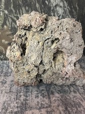 Missouri Druzy Quartz Natural Fossilized Coral Stone Crystals