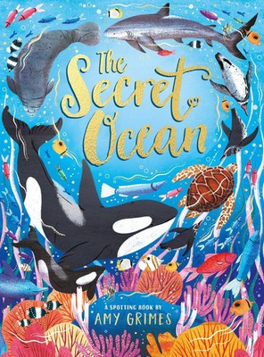 The Secret Ocean | Amy Grimes | Buch | Englisch | 2024 | Scholastic