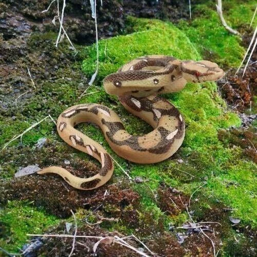 Serpiente de goma grande realista realista broma de miedo juguete broma fiesta utilería jardín Foto 4 de 4