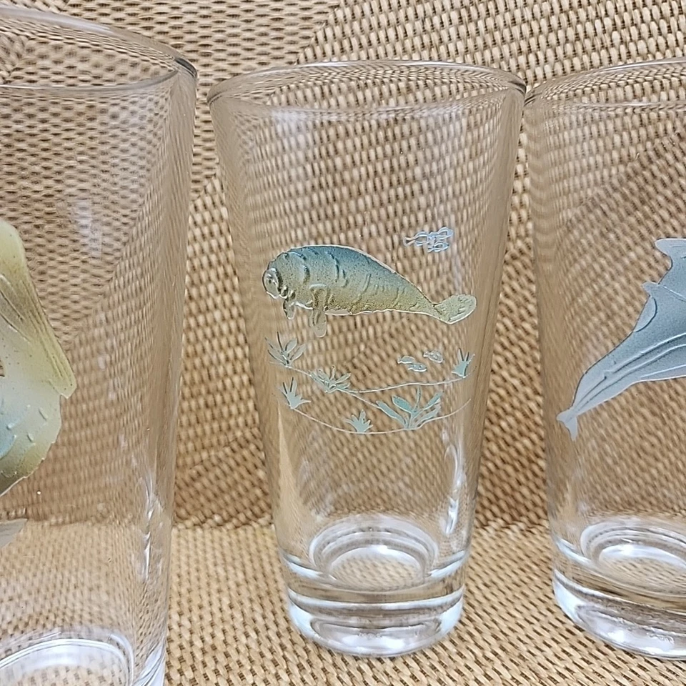 4 vasos de pinta tintados grabados manatí tortuga delfín pelícano decoración de playa costera Foto 4 de 4
