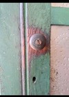 Primitive NC Pie Safe Old Paint Two-tone  — photo 2
