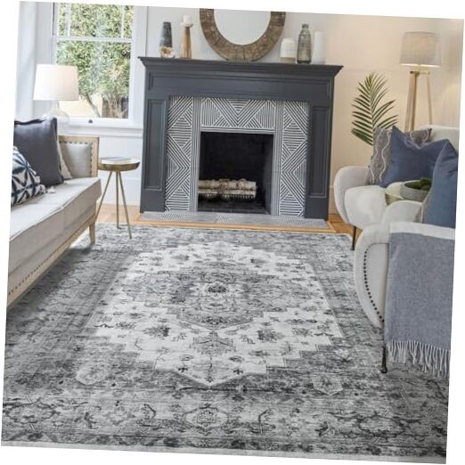 6x9 Soft Washable Low-Pile Non-Shedding Living Room Area Rug