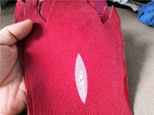 Real Polished Stingray Shagreen Fish Skin Leather Soft Hide Pelt Various colors - Picture 9 of 26