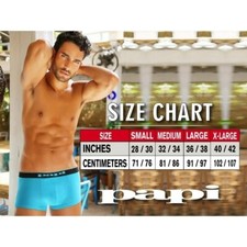 Papi Men's Brazilian Cool Trunk Boxer Briefs 2 Pack Comfort Fitting Underwear