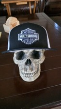 NEW HARLEY DAVIDSON LOGO Dtf Transfer Trucker...