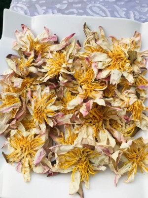 Ceylon Dried White Lotus Nymphaea Ampla 100% Organic Herbal Healthy Tea