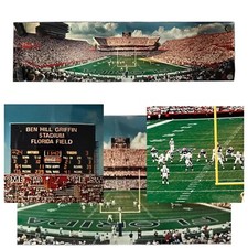 FLORIDA GATORS Original Photo Poster Print The Swamp by Rob Arra 1998 VERY RARE