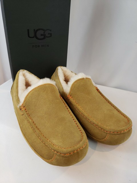 ugg ascot chestnut
