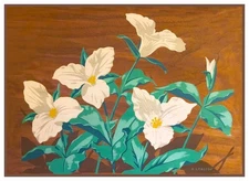 Trillium Flowers by  Canadian A.J. Casson Counted Cross Stitch Pattern