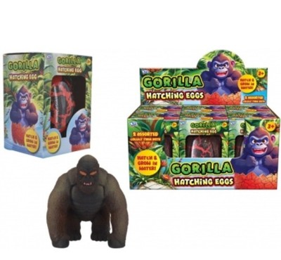 Gorilla Brutei - Fügen Sie einfach Wasser hinzu und beobachten Sie es wachsen!