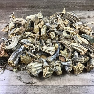 Pumpkin/Gourd Stems Naturally Barn Dried 100 Mixed Size Stems