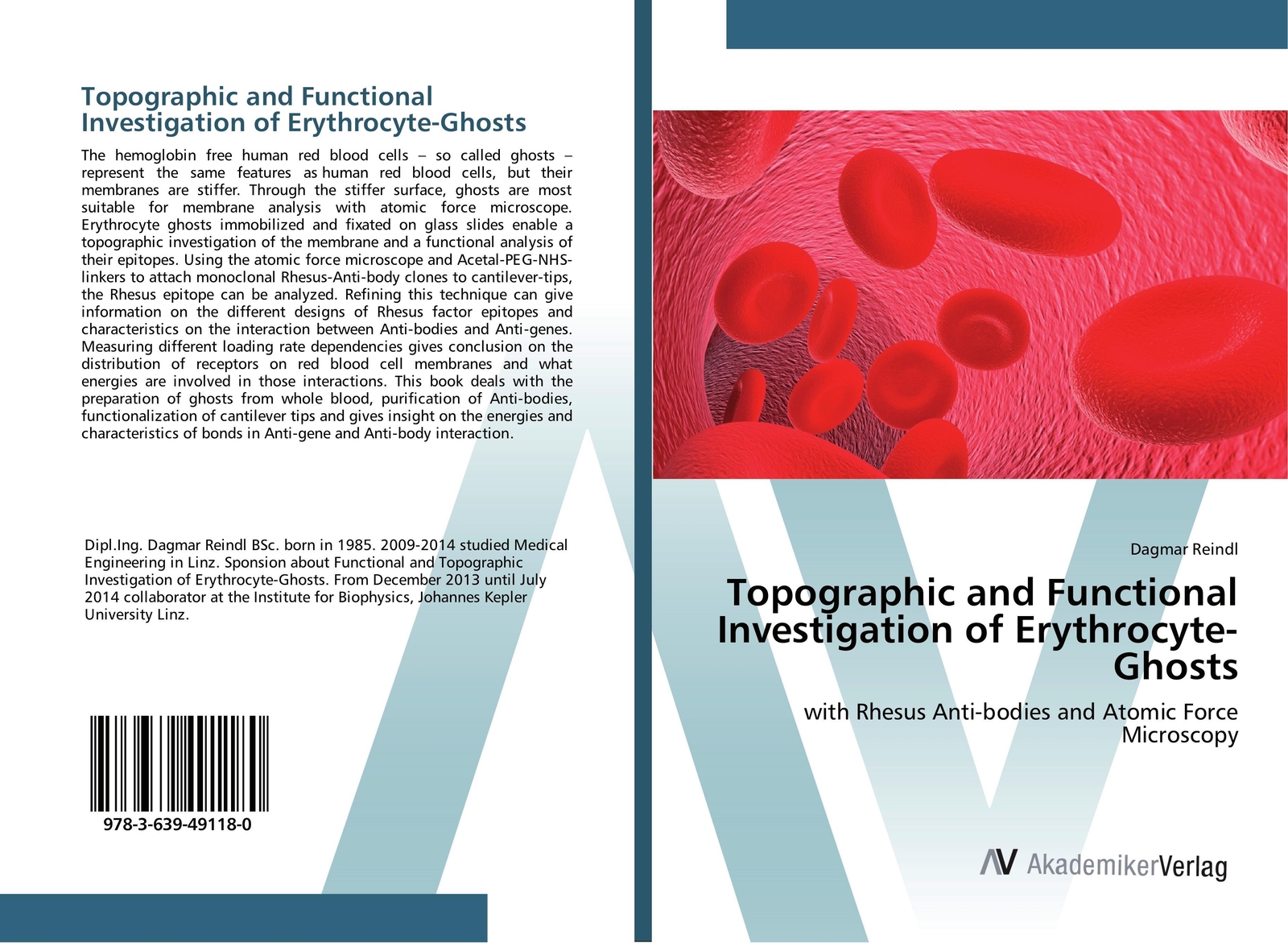 Topographic And Functional Investigation Of Erythrocyte-ghosts Dagmar