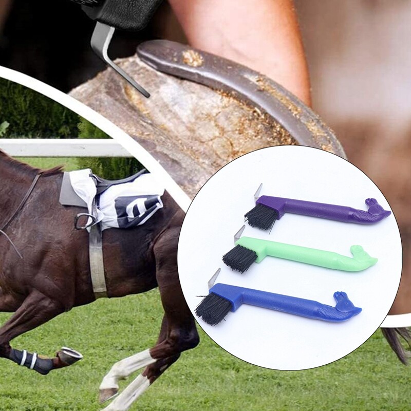 3Pieces Horse Hoof Pick Brush with Long Handle, Portable Hoofpick, Random2618 eBay