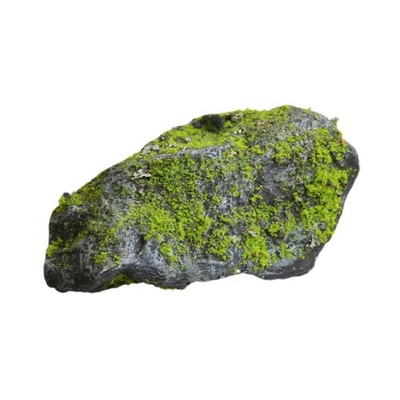 Künstliche Moossteine Kreative Grün Mooskugeln Faux Grün Moos bedeckt Steine