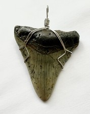 Real Megalodon Shark Tooth Pendant – Platinum Wrapped | COA | Handmade Jewelry