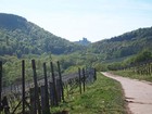 Bild 14 von 17