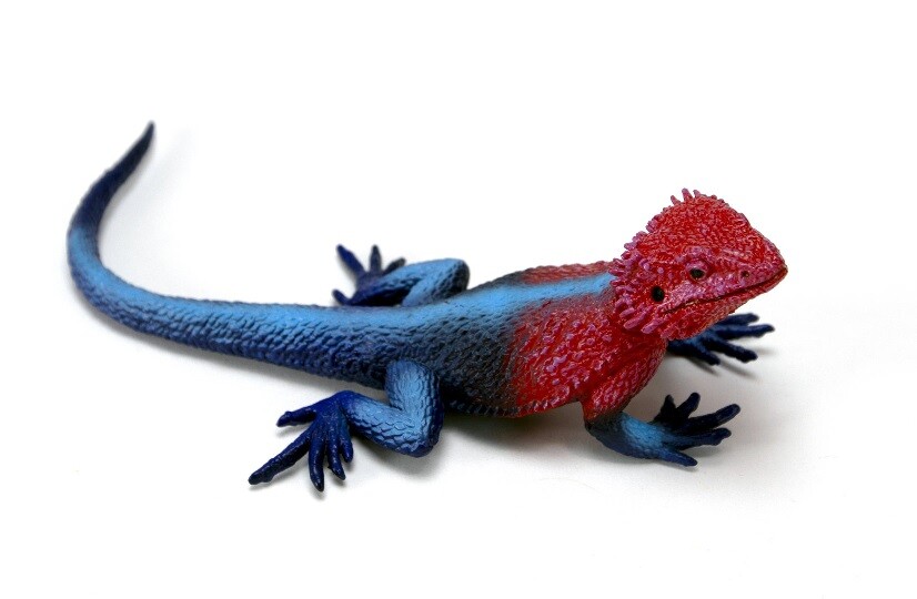 Safari Ltd 101081 Rock Iguana Series Reptiles