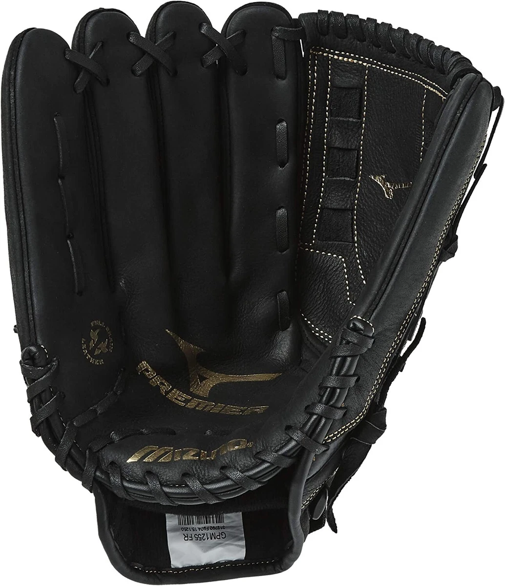Mizuno premier slowpitch on sale softball glove series