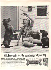 1959 Vintage ad Milk-Bone retro dog treats Dachshunds food photo 03/09/24