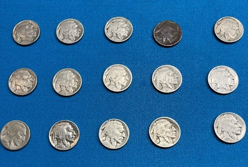 Lot of (15)  Buffalo Nickles