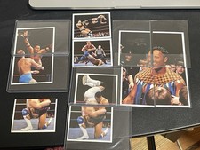 1997 Panini WWF Superstars Stickers The Rock Rocky Maivia Rookies - wwe MINTY