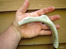 unique orig. DIAMOND WILLOW CANE/walking stick Prime section Mule Deer gift