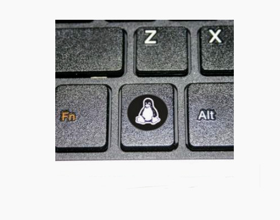 Linux "Super Key" Tux Sticker to Cover Keyboard Windows Logo (Black and White)