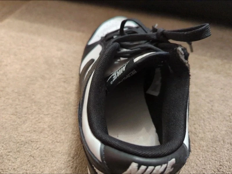 Nike Dunk Low Retro, photo 4 of 5