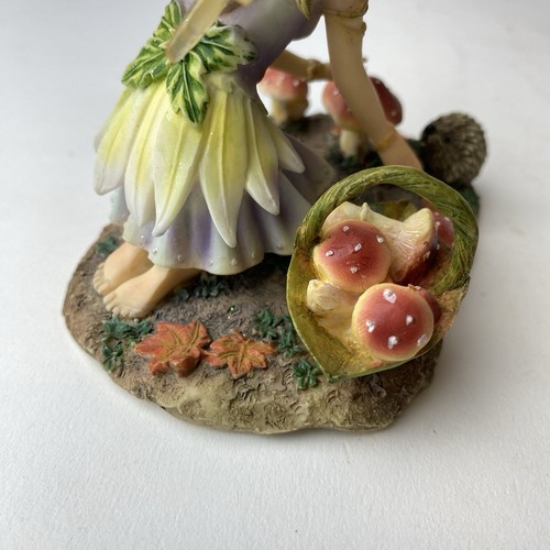 Faerie Glen ALVEBLOOM Woodland Mushroom Hedgehog Fairy FG893 - Picture 8 of 11