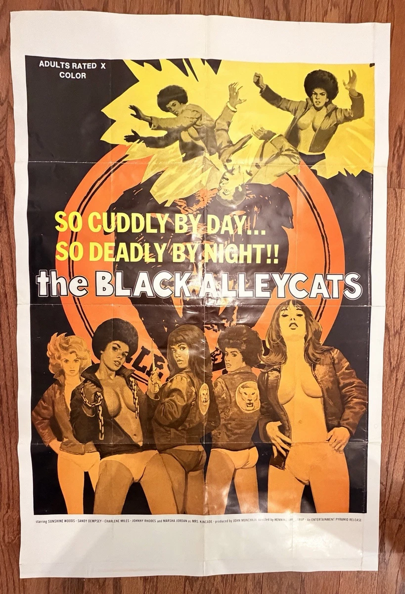 Movie Memorabilia Original US Posters (1970-1979) for sale | eBay