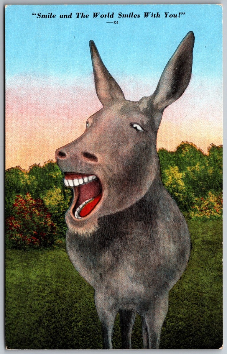 Donkeyです。 Donkey Slam - 3103 (Fisherman) - YouTube